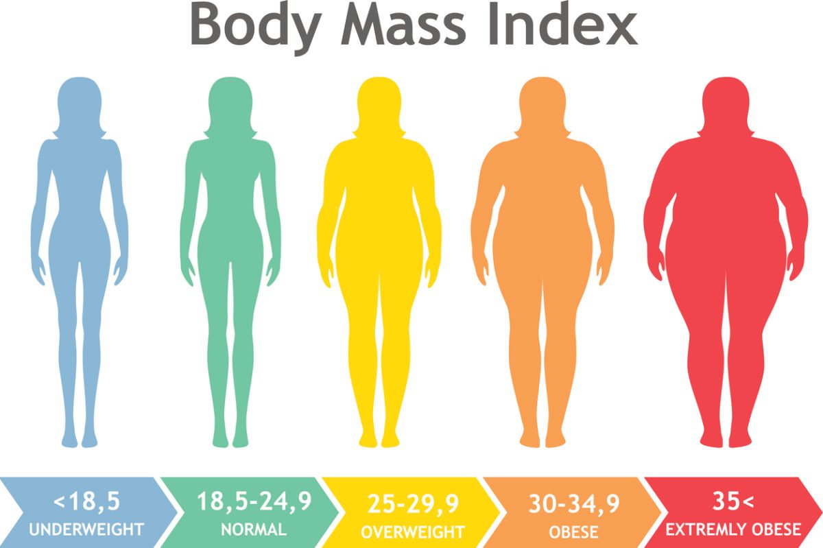 Body mass index vector illustration from underweight to extremely obese. Woman silhouettes with different obesity degrees.