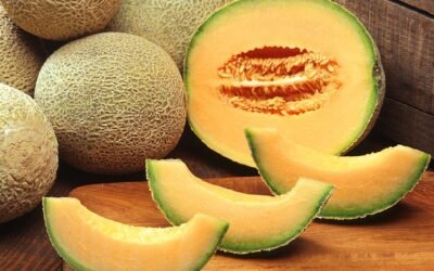 Il Re dell’Estate: Perché il Melone è il Tuo Alleato Ideale per Salute e Idratazione